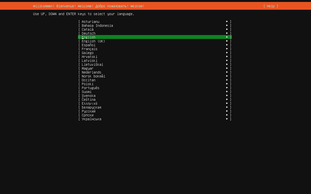 Language selection